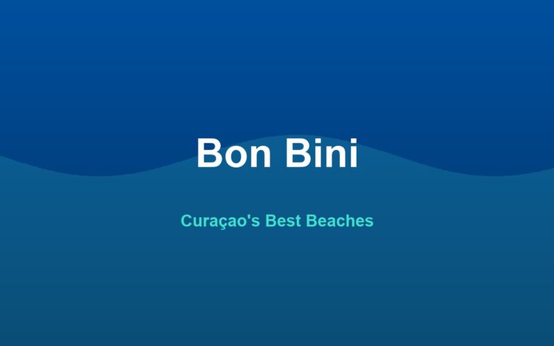 Curaçao’s Best Beaches