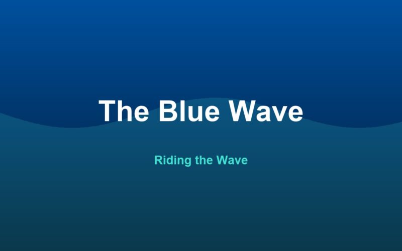 Inside the Blue Wave Academy: building the next generation