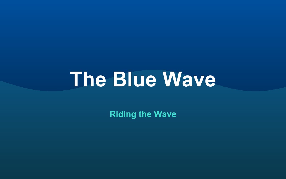 Blue Wave academy